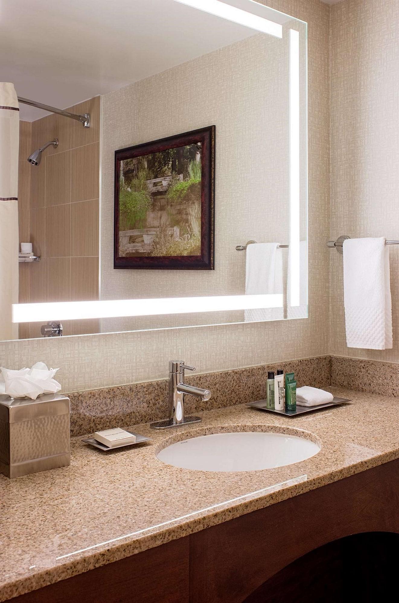 Hilton Houston Galleria Area Exterior photo